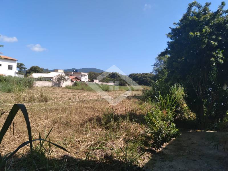 Terreno à venda, 10000m² - Foto 3