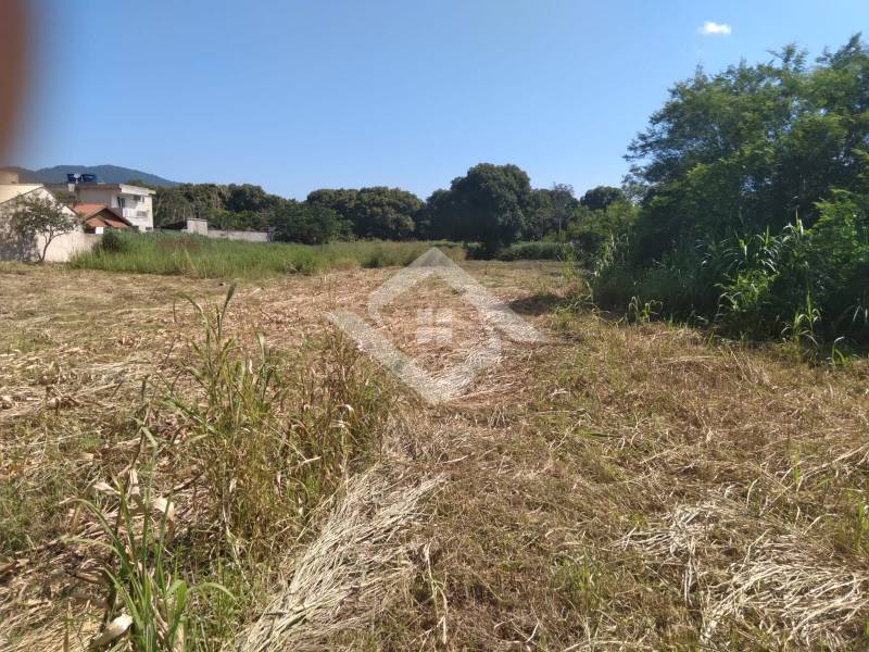 Terreno à venda, 10000m² - Foto 4