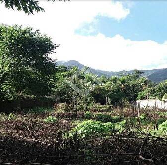 Terreno à venda, 1300m² - Foto 5