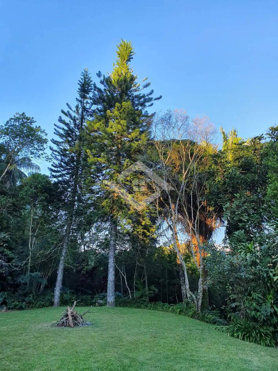 Fazenda à venda com 6 quartos, 300m² - Foto 4